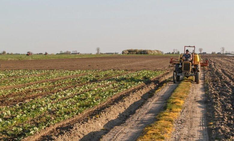 revolutionizing key sectors efficiently