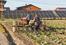 technological advancements through collaboration