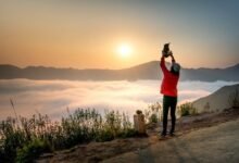 apex summit neural beam