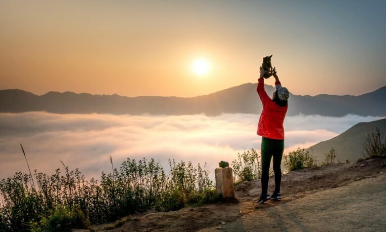 apex summit neural beam