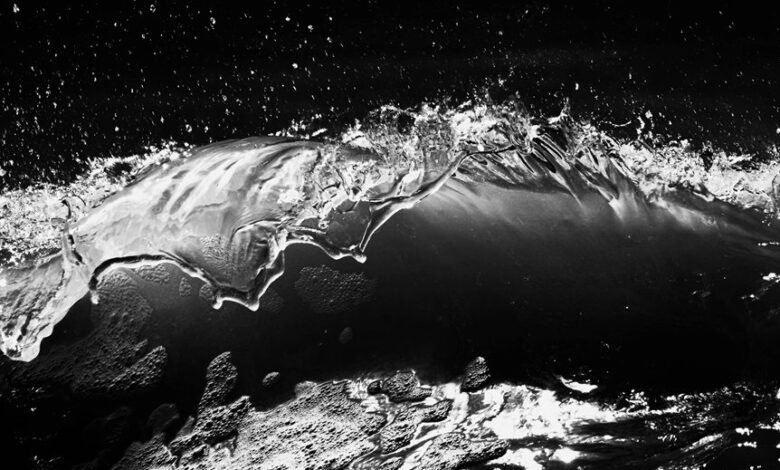 fusion momentum 3 669 860 592 digital crest