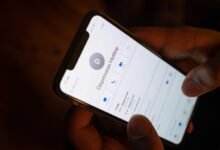 public mobile number details request