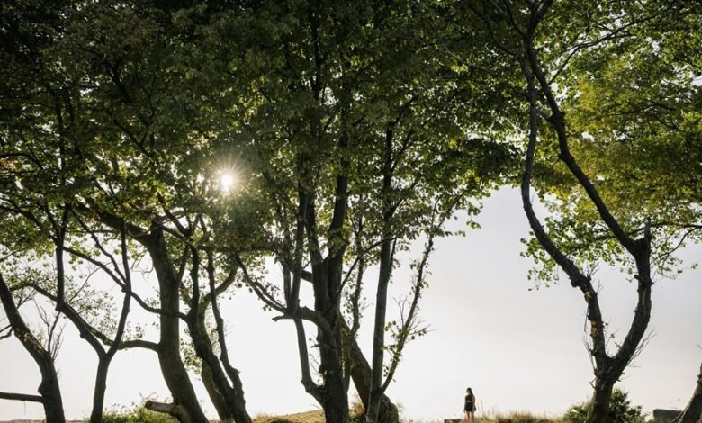 reliable public lookup of 0120619500